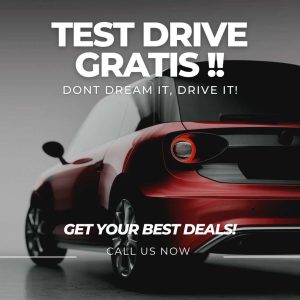 Mobcar Promo Website (1)